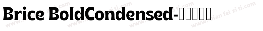 Brice BoldCondensed字体转换